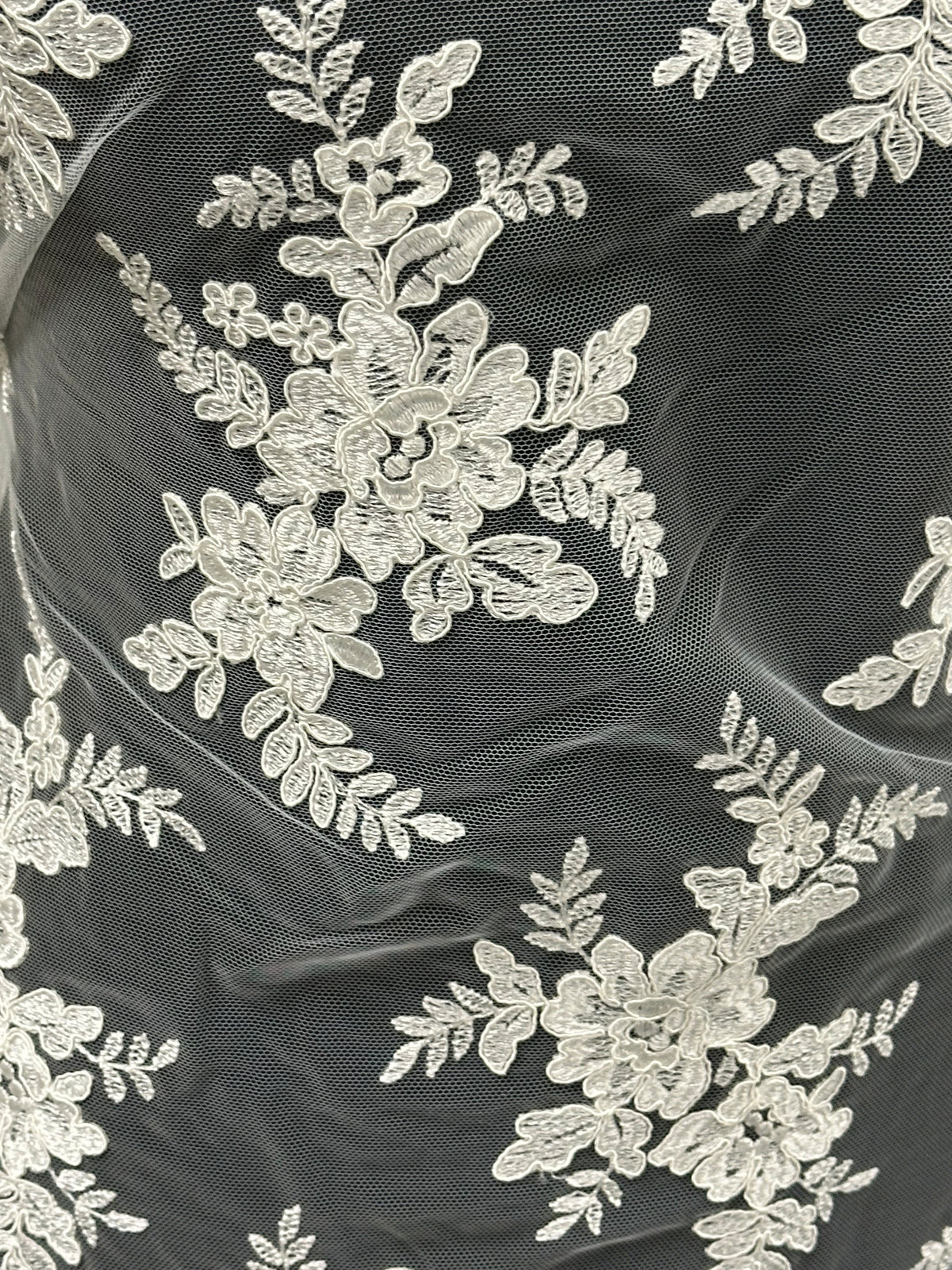 Ivory Corded Embroidery Lace - P233