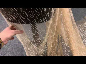 Dentelle Nude Glitter - Elise