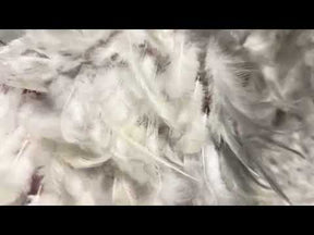 Tulle orné de plumes ivoire - Plume