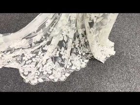 Dentelle brodée ivoire - EB5049