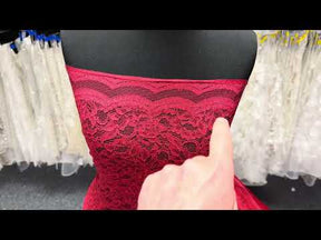 Dentelle Cordonnée Vin Clair - P947