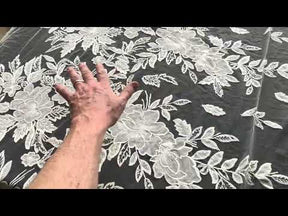Dentelle brodée de sequins ivoire - EB3055