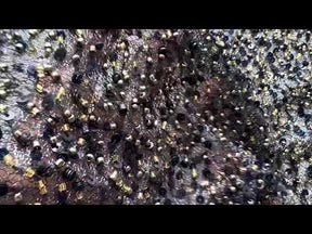 Tulle Bleu Pailettée - Davos