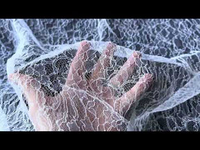 Dentelle de Chantilly blanche - Samantha