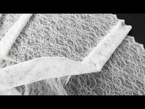 Dentelle Raschel Ivoire Pâle - P412