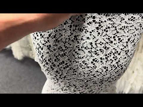 Dentelle française ivoire brodée - LA4005