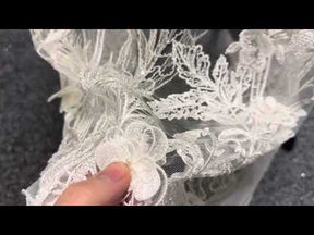 Dentelle Ivoire - Fernando