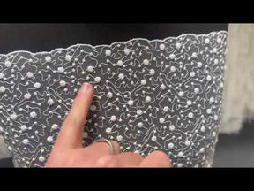 Dentelle brodée ivoire - EB5027