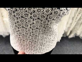 Bordure en dentelle festonnée ivoire - T624