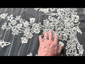 Dentelle brodée de sequins ivoire - EB3035