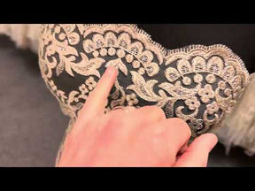 Dentelle Broderie Paillettes Champagne - Albany