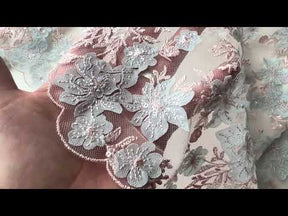 Dentelle brodée rose et bleue - EB3053