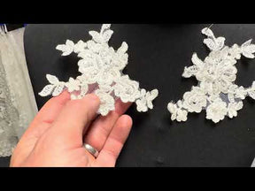 Ivory Beaded Lace Appliques - T151