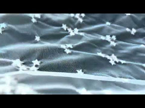 Ivory Embroidered Lace – EU5005