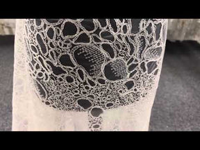 Dentelle Cordonnée Ivoire - Raven