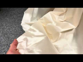 Soie de Champagne Mélange Organza Taffetas - P607