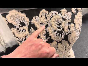 Dentelle ornée de champagne - Allie