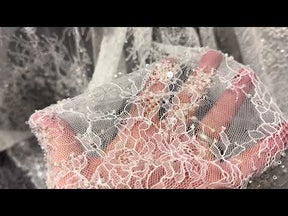 Dentelle ivoire à cordons et paillettes - Fronnie 