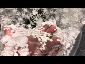 Dentelle brodée ivoire 3D - Savinder