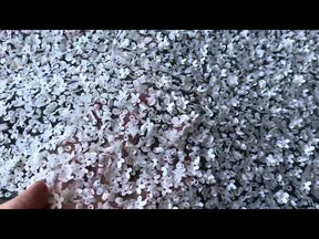 Dentelle à paillettes ivoire - Caris