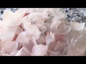 Dentelle fleurie 3D ivoire - Sheeba