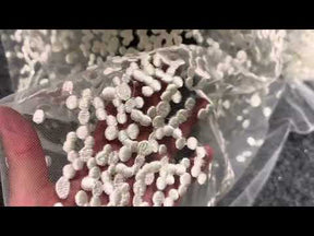 Dentelle brodée à paillettes ivoire - Jada