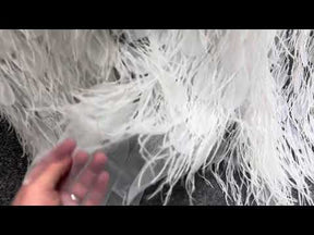 Dentelle de plumes ivoire - Fabiana
