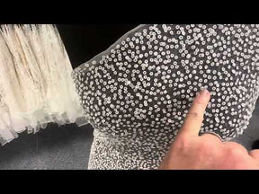 Dentelle Ivoire Pailettée - Luz