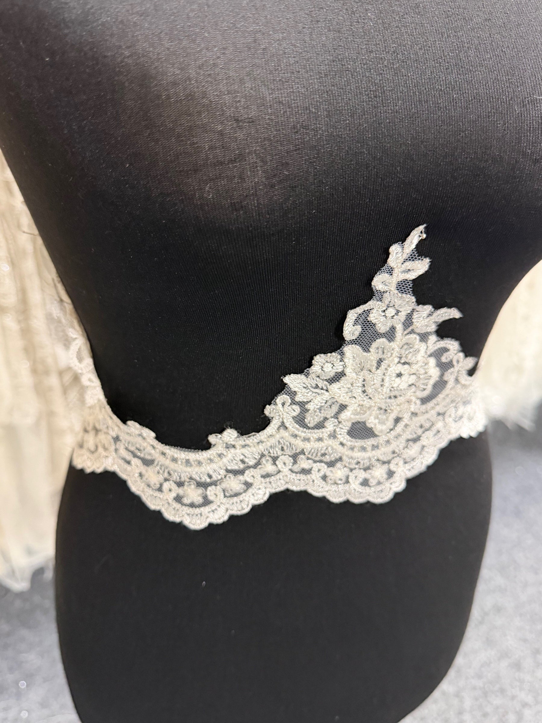 Bordure en dentelle à paillettes ivoire - T492