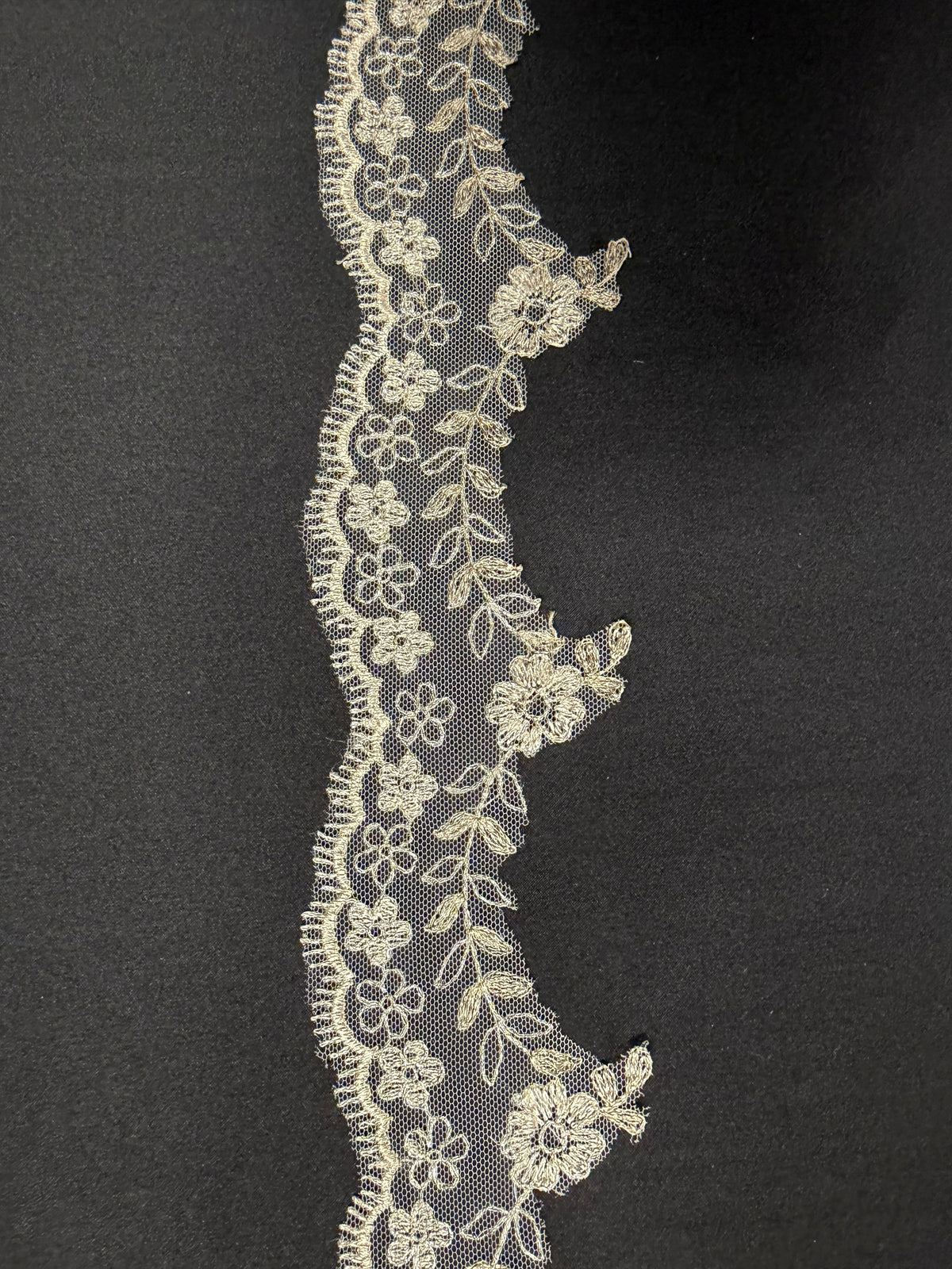 Bordure en dentelle brodée ivoire et champagne - T53