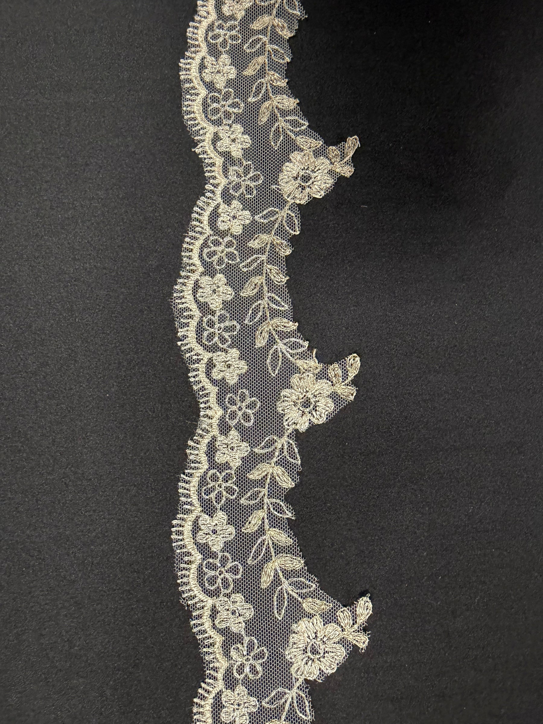 Bordure en dentelle brodée ivoire et champagne - T53