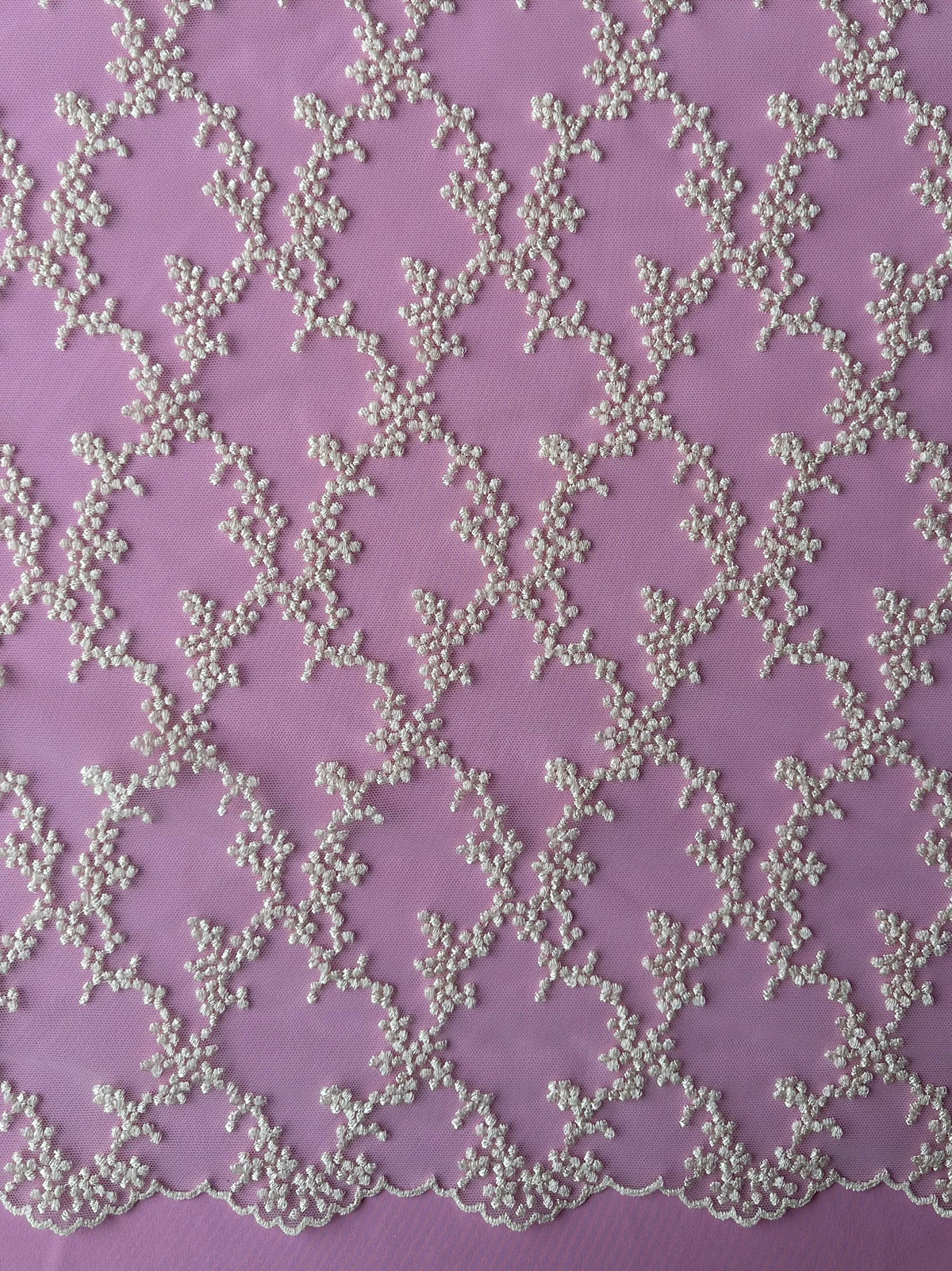 Dentelle brodée française champagne - Larissa