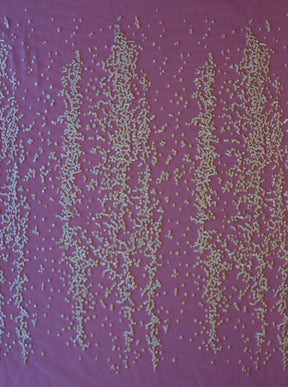 Dentelle brodée à paillettes ivoire - Jada