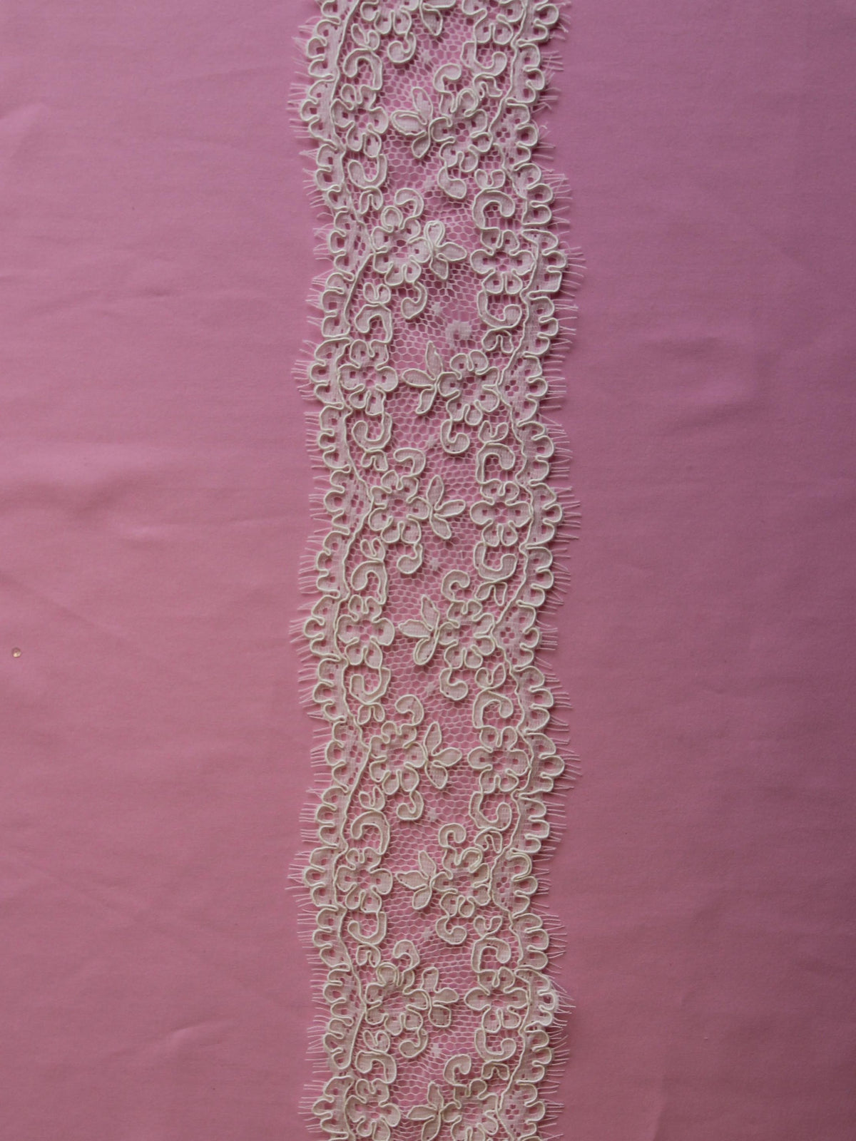 Bordure en dentelle cordée ivoire - Ego