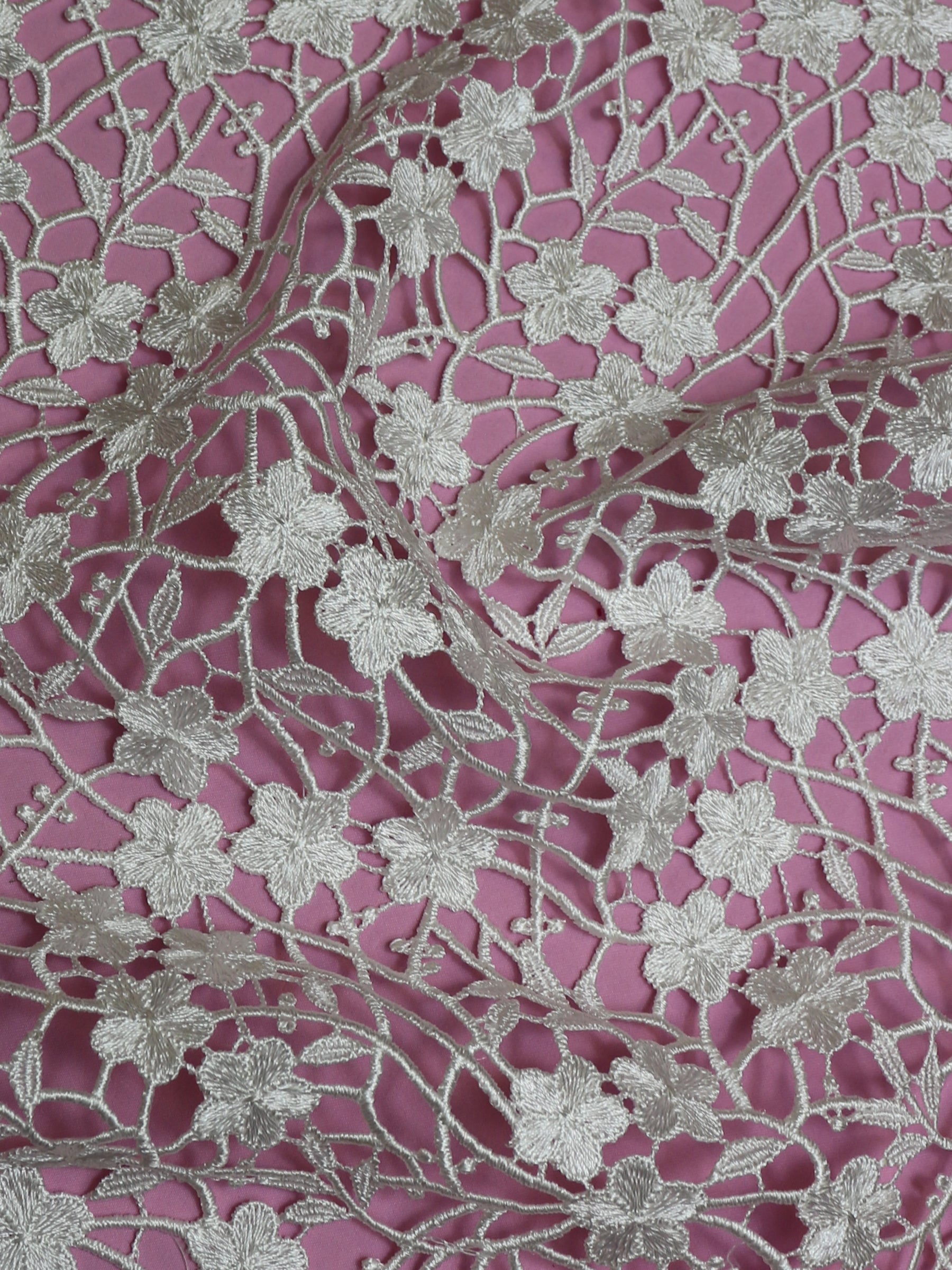 Dentelle Guipure Ivoire - Ebba