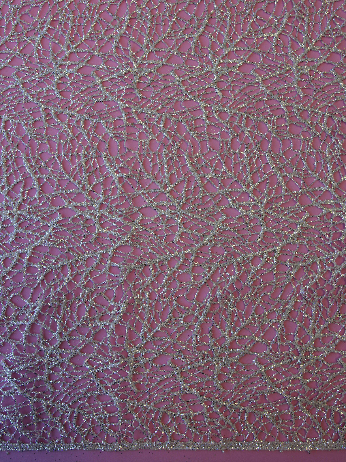 Dentelle pailletée argentée – Rivière
