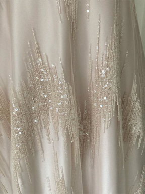 Tulle Champagne Pailleté -Twilight