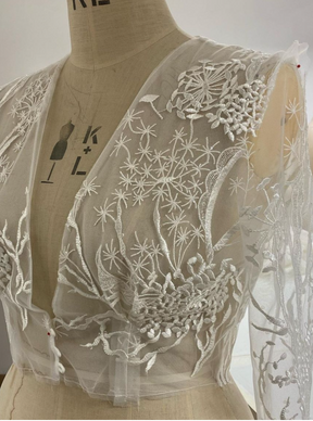 Dentelle brodée ivoire - Hayley