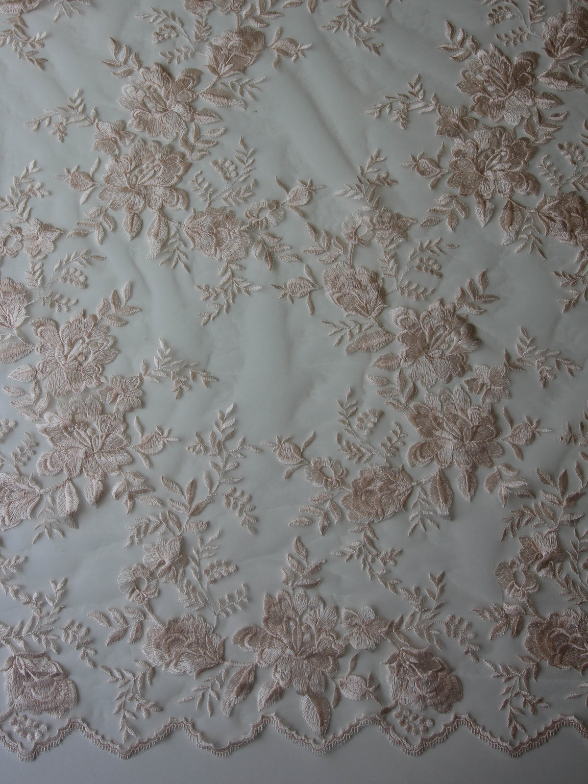 Dentelle Brodée Blush - Cameron