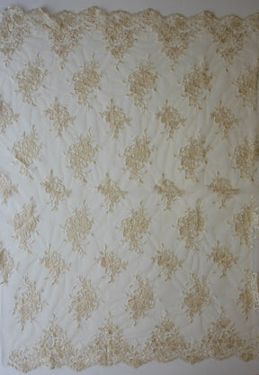 Dentelle Cordon Champagne - Cecilia