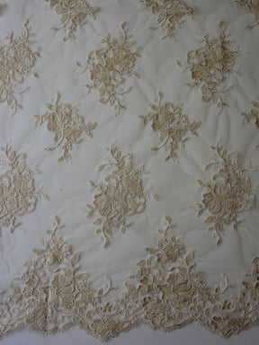 Dentelle Cordon Champagne - Cecilia