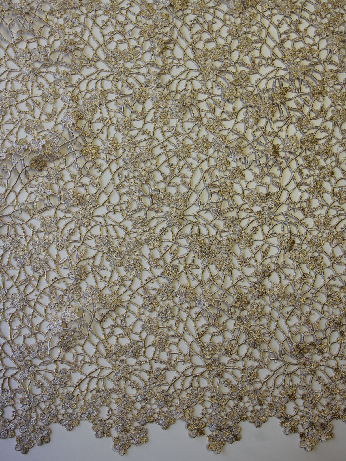 Dentelle Guipure Champagne - Ebba