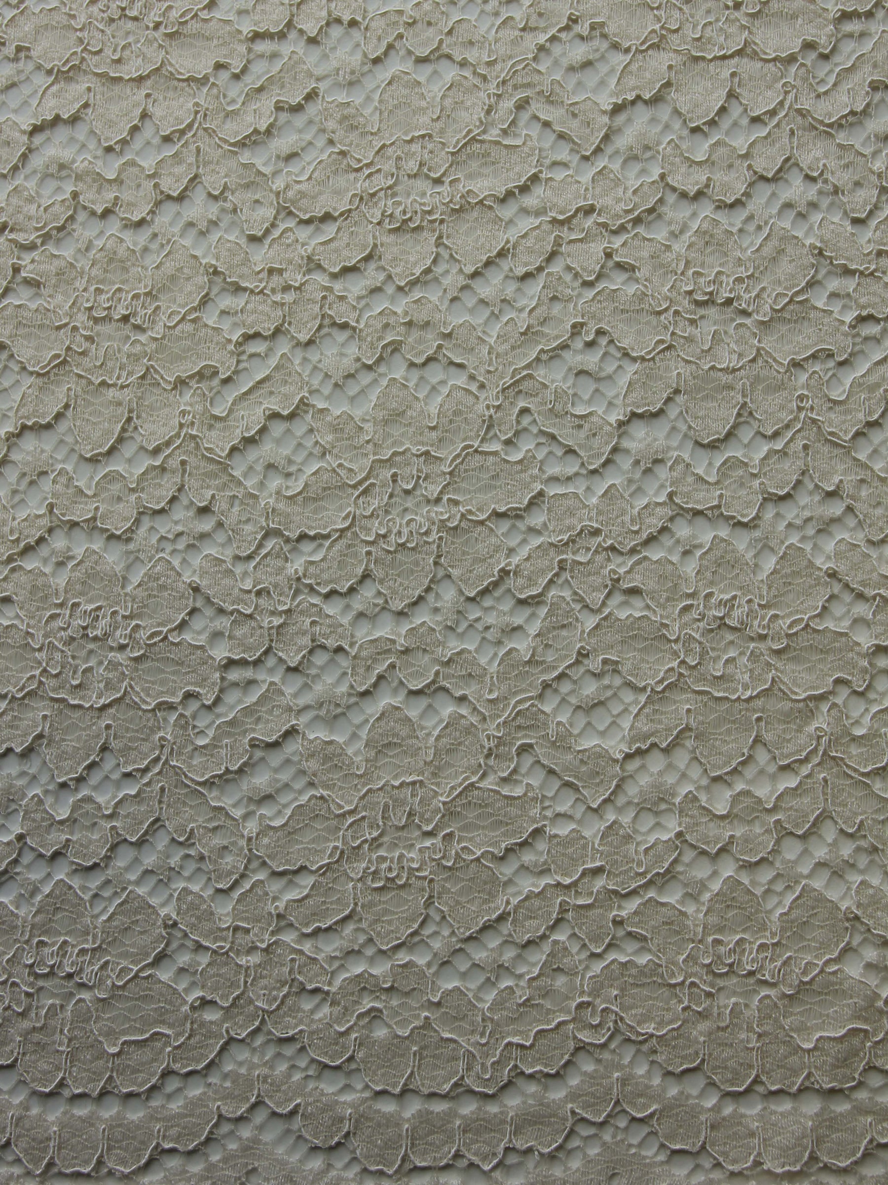 Dentelle gansée champagne - Shannon