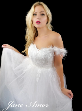 Dentelle Broderie Paillettes Ivoire - Dusk