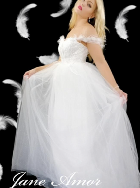 Dentelle Broderie Paillettes Ivoire - Dusk