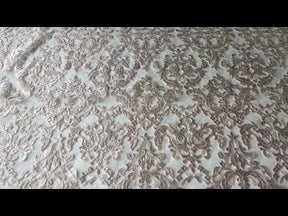 Dentelle Broderie Paillettes Champagne - Albany