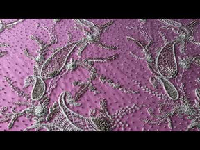 Dentelle Perlée Paisley Ivoire - Amani