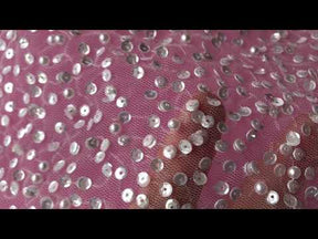 Dentelle Ivoire Pailettée - Luz