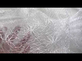 Dentelle Raschel ivoire - Kindness