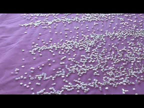Dentelle brodée à paillettes ivoire - Jada